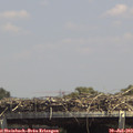14_15-mast.jpg