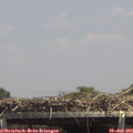 14_20-mast.jpg