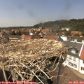 14_20-nest.jpg
