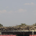 14_25-mast.jpg