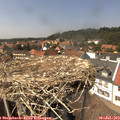 14_25-nest.jpg