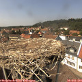 14_30-nest.jpg