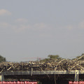 14_35-mast.jpg