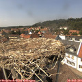 14_35-nest.jpg
