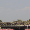 14_40-mast.jpg