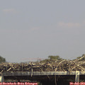 14_45-mast.jpg