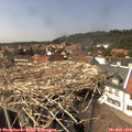 14_45-nest.jpg