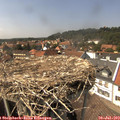 14_50-nest.jpg