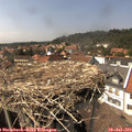 15_05-nest.jpg
