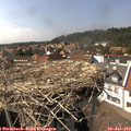 15_35-nest.jpg