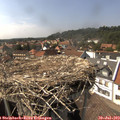 15_40-nest.jpg