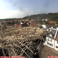 16_00-nest.jpg