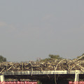 16_05-mast.jpg