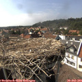 16_10-nest.jpg