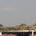 16_15-mast.jpg