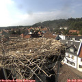16_20-nest.jpg