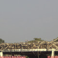 16_35-mast.jpg