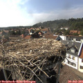 16_35-nest.jpg