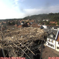 16_40-nest.jpg