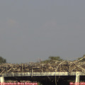 16_50-mast.jpg