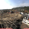17_00-nest.jpg