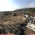 17_05-nest.jpg
