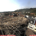 17_20-nest.jpg