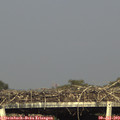 17_40-mast.jpg