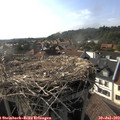 17_40-nest.jpg