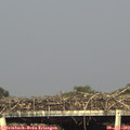 17_45-mast.jpg
