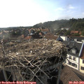17_45-nest.jpg
