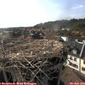 17_55-nest.jpg
