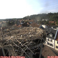 18_00-nest.jpg