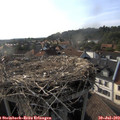 18_05-nest.jpg