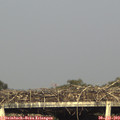 18_10-mast.jpg