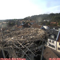 18_10-nest.jpg