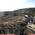 18_20-nest.jpg