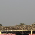 18_25-mast.jpg