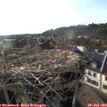 18_30-nest.jpg