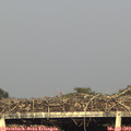 18_35-mast.jpg