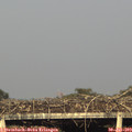 18_40-mast.jpg