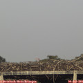 18_45-mast.jpg