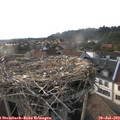 18_45-nest.jpg