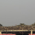 18_50-mast.jpg