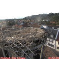 18_50-nest.jpg