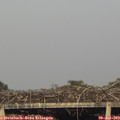 18_55-mast.jpg