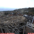 18_55-nest.jpg