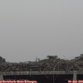 19_00-mast.jpg