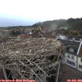 19_00-nest.jpg