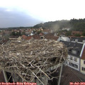 19_05-nest.jpg